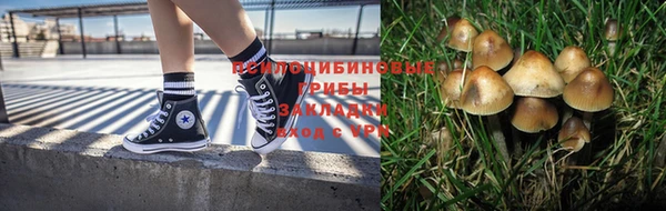 mdpv Верея