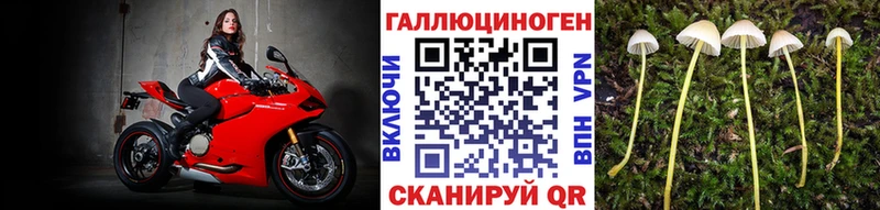 кракен онион  как найти   Пятигорск  Галлюциногенные грибы мухоморы 
