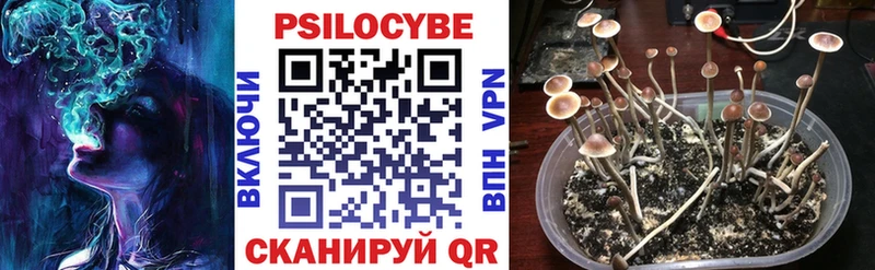 Галлюциногенные грибы GOLDEN TEACHER Пятигорск